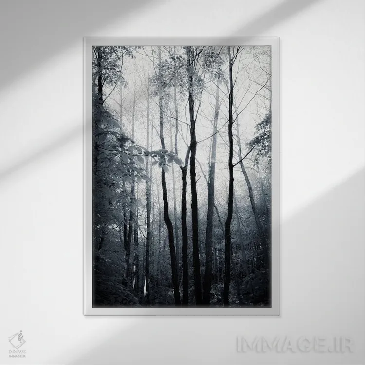 تابلو دکوراتیو روح های کهن اثر دوریت فوگ - نمای قابدار سفید