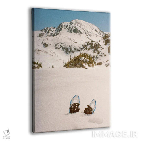 تابلو دکوراتیو ماجراجویی زمستانی اثر دنیل گارسیا - نمای پرسپکتیو محصول
