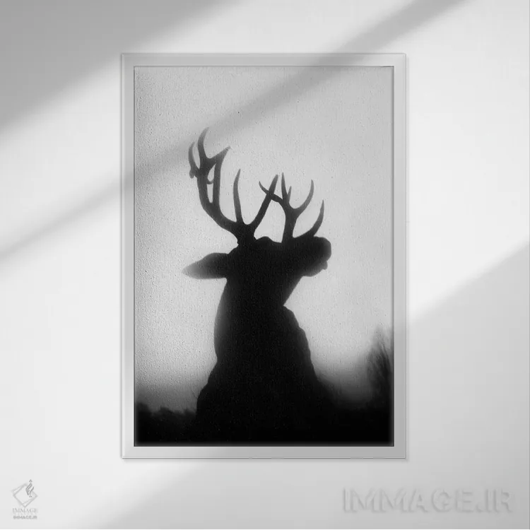 تابلو دکوراتیو غرش اثر دوریت فوگ - نمای قابدار سفید