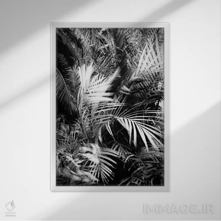 تابلو دکوراتیو نخل وحشی اثر دوریت فوگ - نمای قابدار سفید