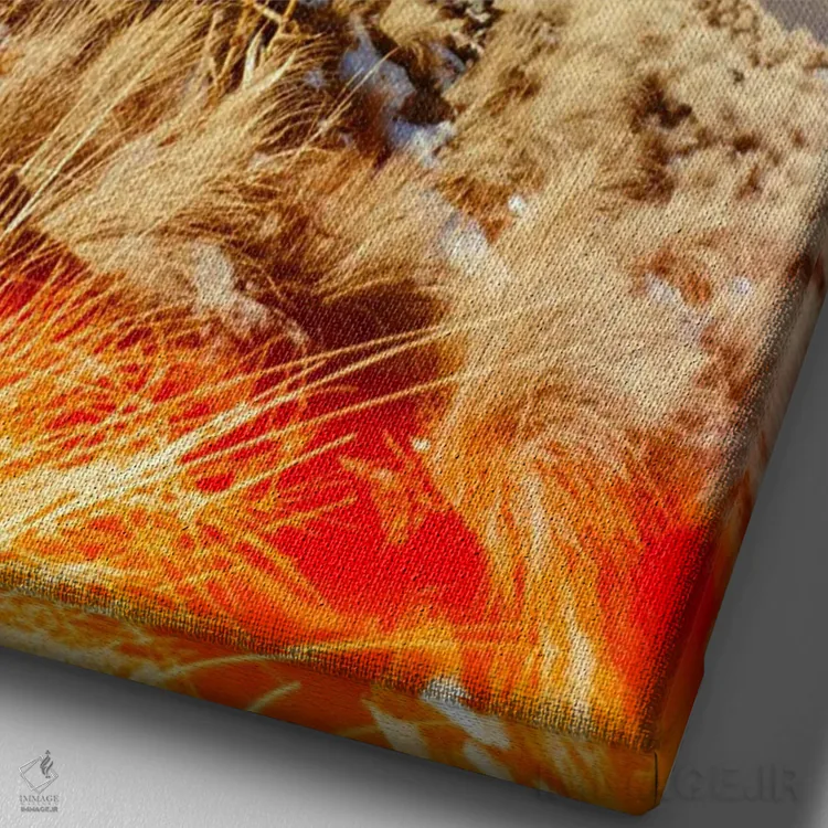 تابلو دکوراتیو کسینانتکاتل اثر دنیل گارسیا - نمای نزدیک بافت بوم