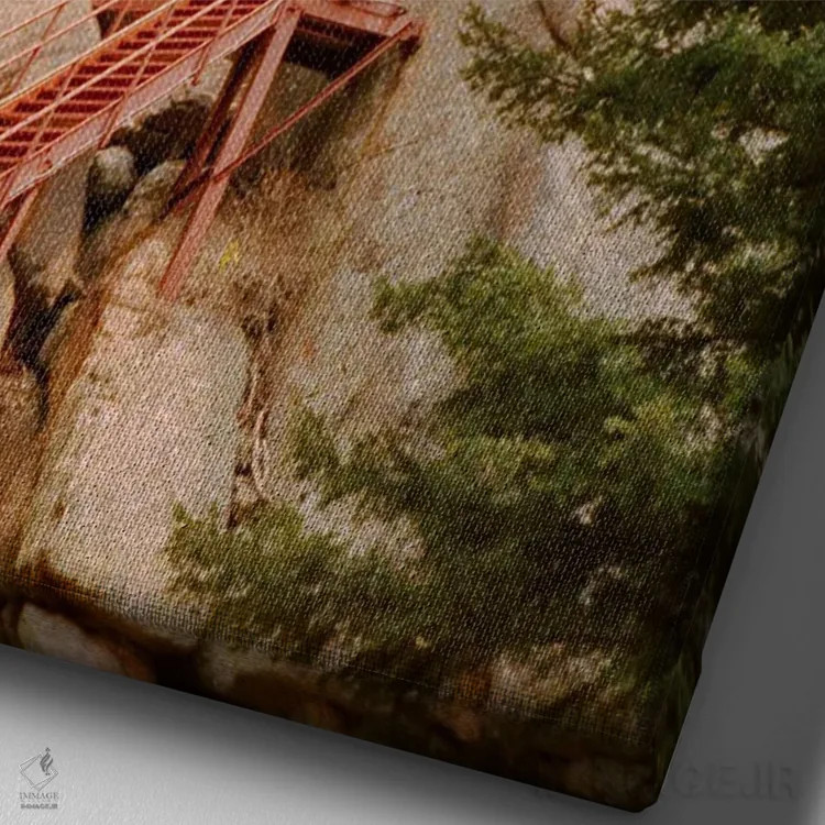 تابلو دکوراتیو بالا رفتن اثر دنیل گارسیا - نمای نزدیک بافت بوم