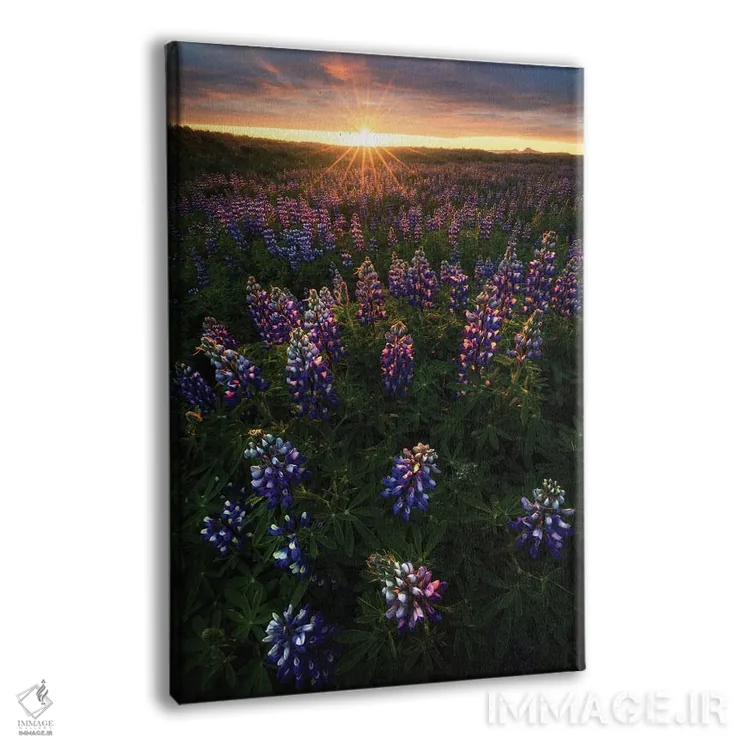 تابلو دکوراتیو طلوع تابستانی در ایسلند اثر دنیل گاستاگر - نمای پرسپکتیو محصول