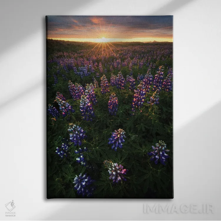 تابلو دکوراتیو طلوع تابستانی در ایسلند اثر دنیل گاستاگر - نمای روبهرو روی دیوار