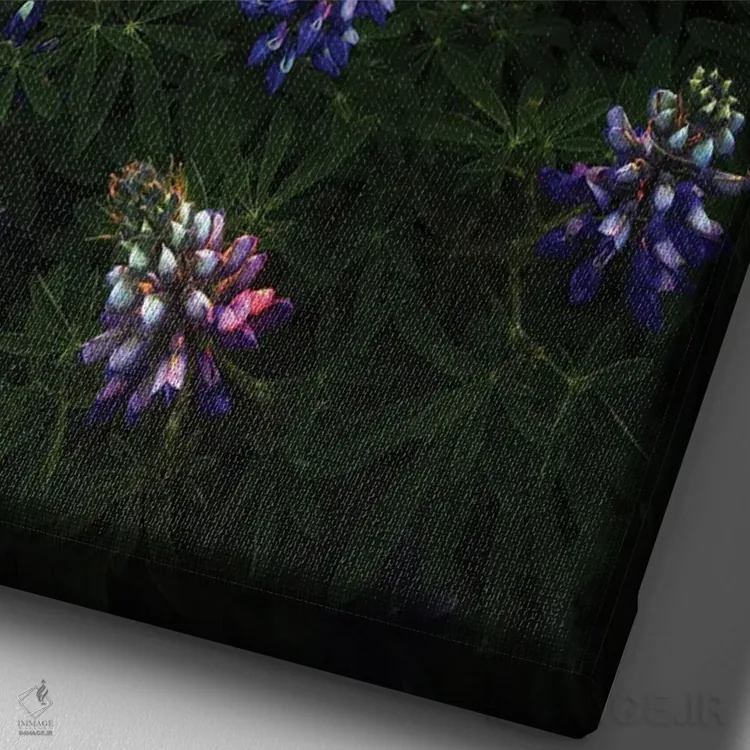 تابلو دکوراتیو طلوع تابستانی در ایسلند اثر دنیل گاستاگر - نمای نزدیک بافت بوم