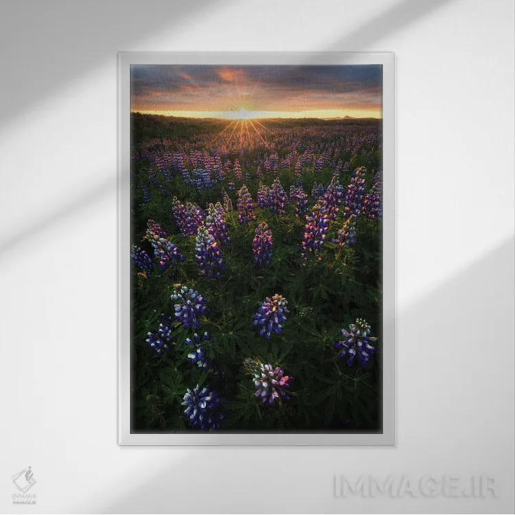 تابلو دکوراتیو طلوع تابستانی در ایسلند اثر دنیل گاستاگر - نمای قابدار سفید