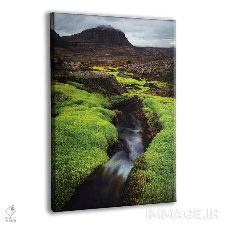 تابلو دکوراتیو تضاد سبز در غرب ایسلند اثر دنیل گاستاگر - نمای پرسپکتیو محصول