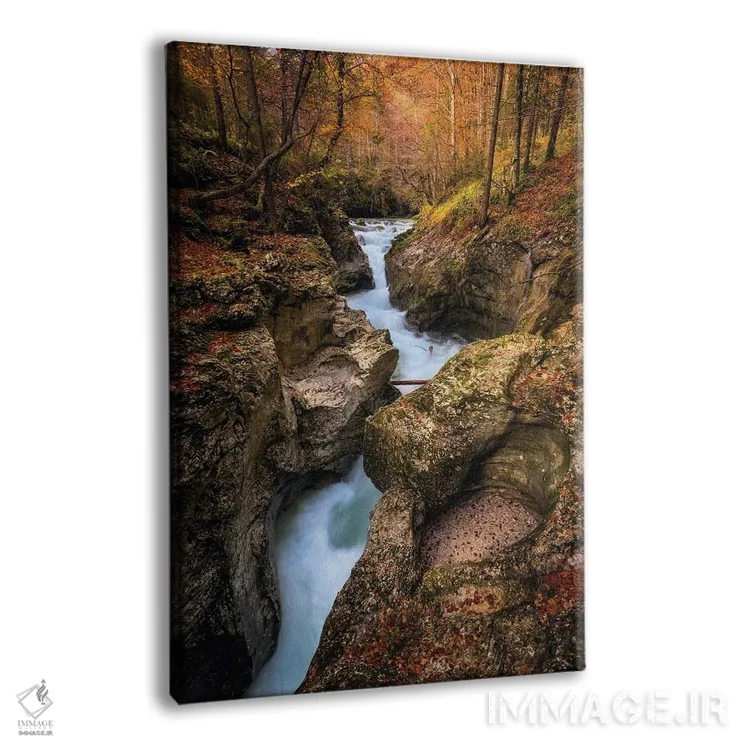 تابلو دکوراتیو دره کوچک جنگلی در اسلوونی اثر دنیل گاستاگر - نمای پرسپکتیو محصول