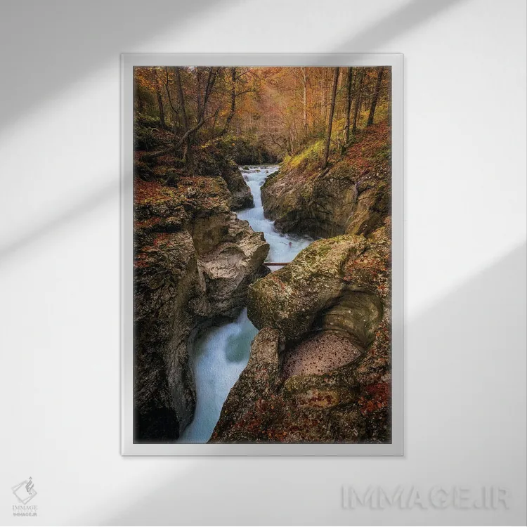 تابلو دکوراتیو دره کوچک جنگلی در اسلوونی اثر دنیل گاستاگر - نمای قابدار سفید