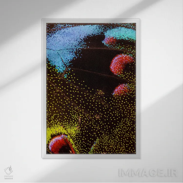 تابلو دکوراتیو عکاسی ماکرو از بال پروانه III اثر دارل گالین - نمای قابدار سفید