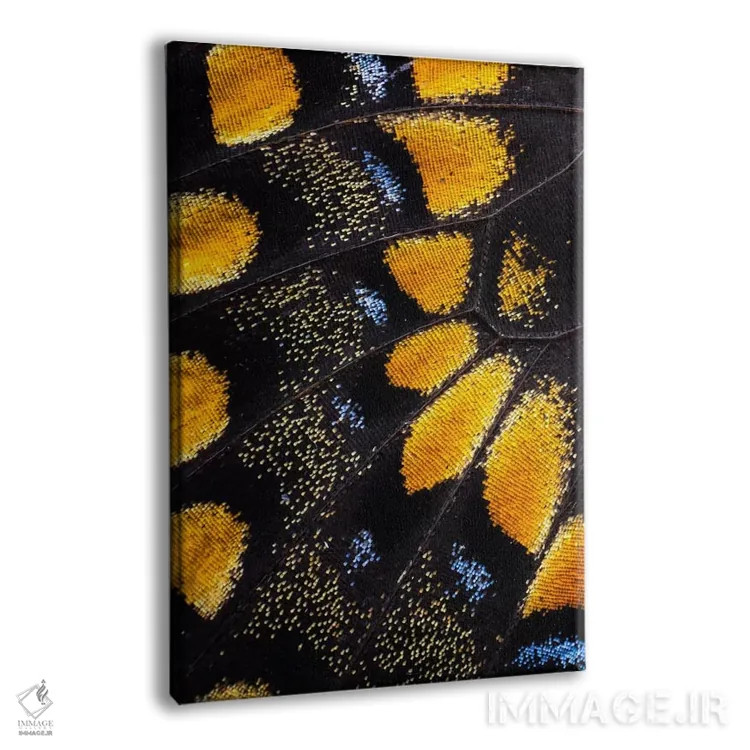 تابلو دکوراتیو عکاسی ماکرو از بال پروانه شماره هفت اثر دارل گالین - نمای پرسپکتیو محصول