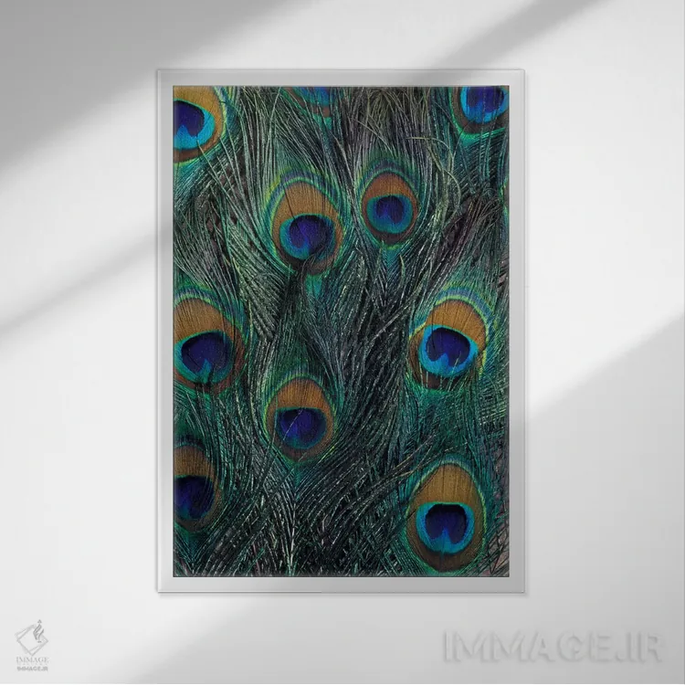 تابلو دکوراتیو نمای بزرگ پرهای طاووس اثر دارل گالین - نمای قابدار سفید