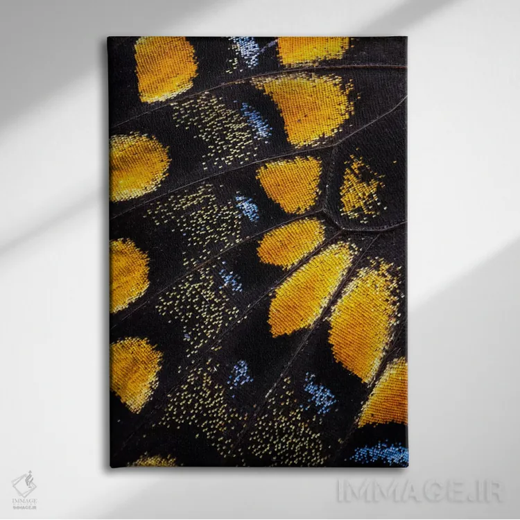 تابلو دکوراتیو عکاسی ماکرو از بال پروانه شماره هفت اثر دارل گالین - نمای روبهرو روی دیوار