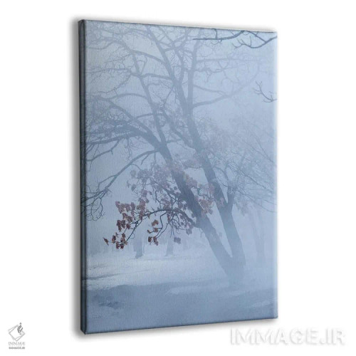 تابلو دکوراتیو درختان در کنار دریاچه یخ زده کوشارو. برف زمستانی با مهی که ب… اثر دارل گالین - نمای پرسپکتیو محصول