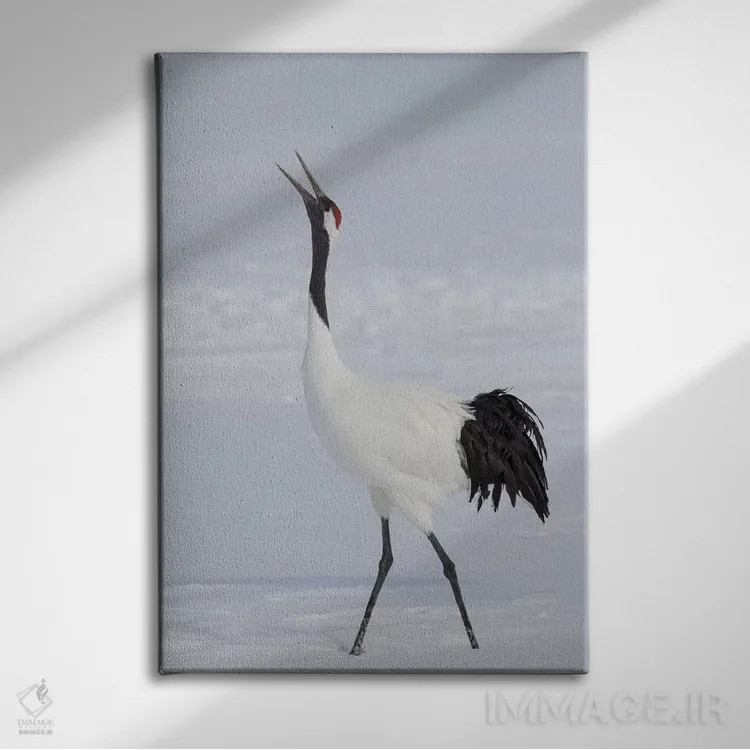 تابلو دکوراتیو Japan,درنای تاج قرمز جزیره شمالی هوکایدو، ژاپن اثر دارل گالین - نمای روبهرو روی دیوار