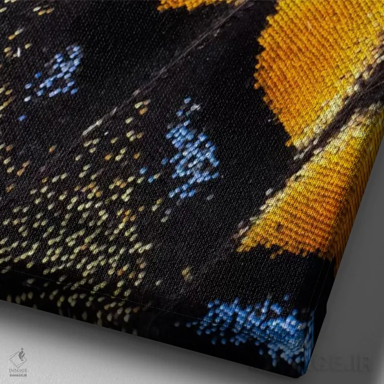 تابلو دکوراتیو عکاسی ماکرو از بال پروانه شماره هفت اثر دارل گالین - نمای نزدیک بافت بوم