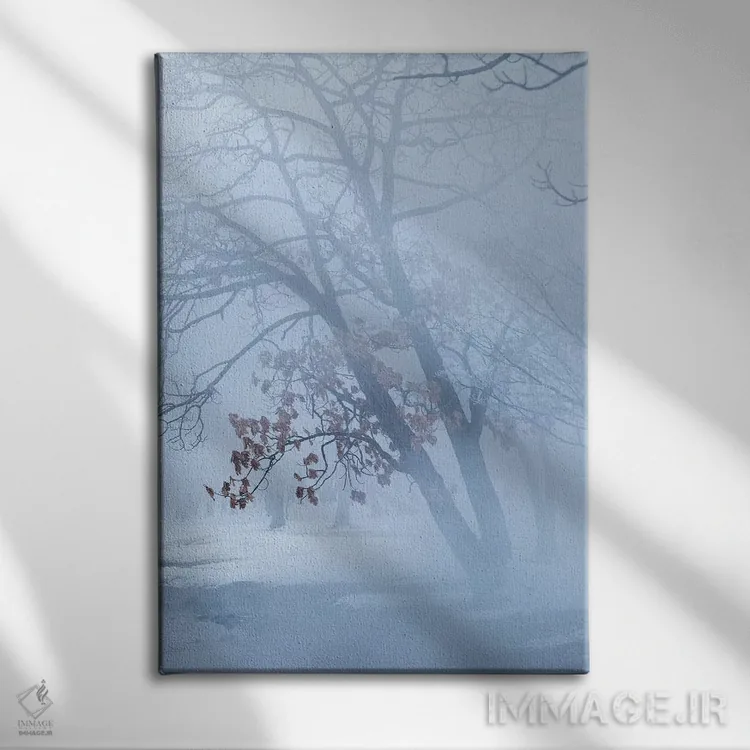تابلو دکوراتیو درختان در کنار دریاچه یخ زده کوشارو. برف زمستانی با مهی که ب… اثر دارل گالین - نمای روبهرو روی دیوار