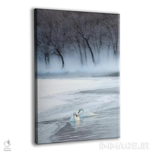 تابلو دکوراتیو Hokkaido,قوهای آوازخوان روی دریاچه یخ زده کوشارو، هوکایدو اثر دارل گالین - نمای پرسپکتیو محصول
