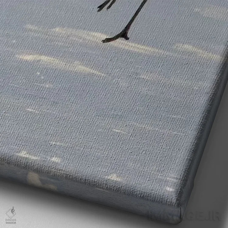 تابلو دکوراتیو Japan,درنای تاج سرخ کمیاب در جزیره شمالی هوکایدو، ژاپن اثر دارل گالین - نمای نزدیک بافت بوم