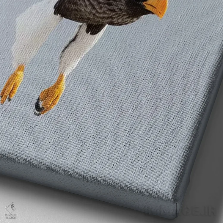 تابلو دکوراتیو Hokkaido, Japan.,عقاب دریایی استلر در حال پرواز. زمستان گذرا… اثر دارل گالین - نمای نزدیک بافت بوم