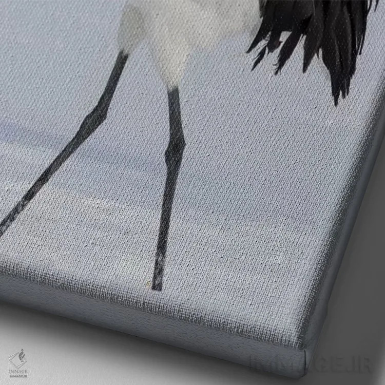 تابلو دکوراتیو Japan,درنای تاج قرمز جزیره شمالی هوکایدو، ژاپن اثر دارل گالین - نمای نزدیک بافت بوم