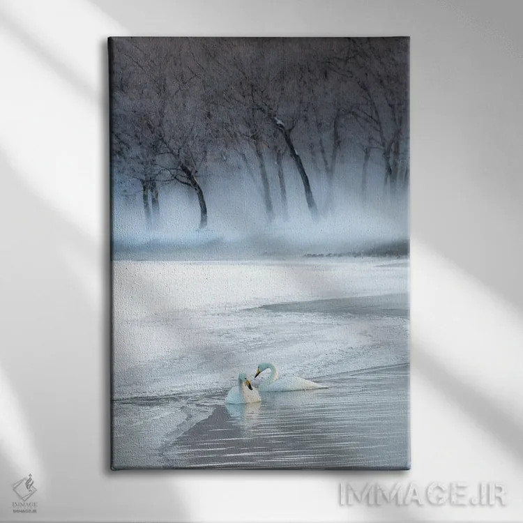 تابلو دکوراتیو Hokkaido,قوهای آوازخوان روی دریاچه یخ زده کوشارو، هوکایدو اثر دارل گالین - نمای روبهرو روی دیوار