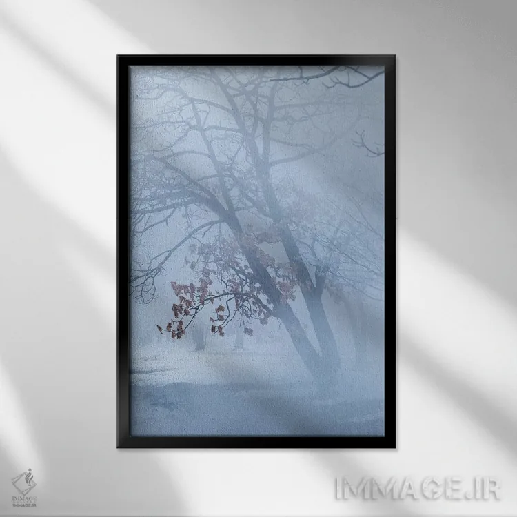 تابلو دکوراتیو درختان در کنار دریاچه یخ زده کوشارو. برف زمستانی با مهی که ب… اثر دارل گالین - نمای قابدار مشکی