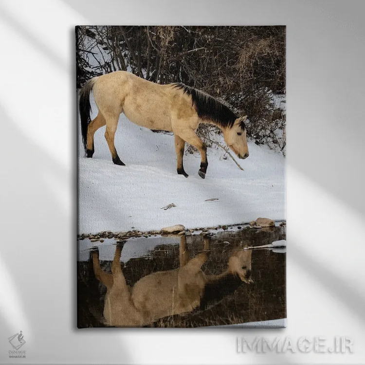 تابلو دکوراتیو Shell, Wyoming Hideout Ranch Lone Horse In Reflection Shell… اثر دارل گالین - نمای روبهرو روی دیوار