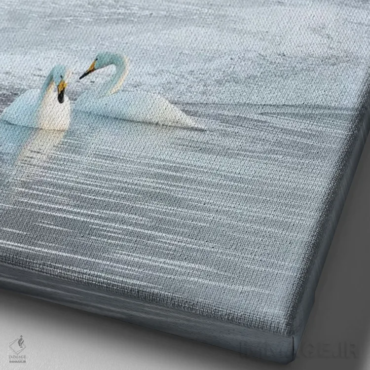 تابلو دکوراتیو Hokkaido,قوهای آوازخوان روی دریاچه یخ زده کوشارو، هوکایدو اثر دارل گالین - نمای نزدیک بافت بوم