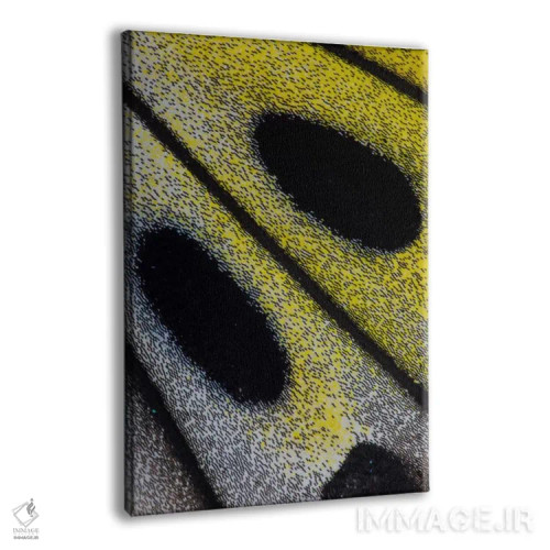 تابلو دکوراتیو عکاسی ماکرو از بال پروانه شماره ده اثر دارل گالین - نمای پرسپکتیو محصول