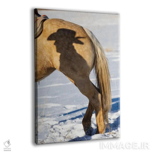 تابلو دکوراتیو Shell, Wyoming Hideout Ranch Shadow Of Cowhand With Hat On S… اثر دارل گالین - نمای پرسپکتیو محصول