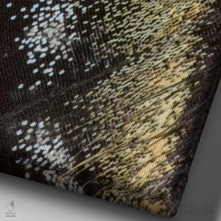 تابلو دکوراتیو عکاسی ماکرو از بال پروانه شماره یازده اثر دارل گالین - نمای نزدیک بافت بوم