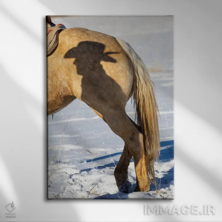 تابلو دکوراتیو Shell, Wyoming Hideout Ranch Shadow Of Cowhand With Hat On S… اثر دارل گالین - نمای روبهرو روی دیوار