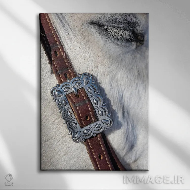 تابلو دکوراتیو Shell, Wyoming Hideout Ranch Tack On Horse,آمریکا، شل، وایوم… اثر دارل گالین - نمای روبهرو روی دیوار