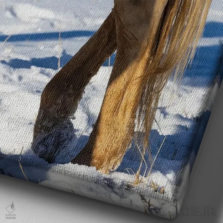 تابلو دکوراتیو Shell, Wyoming Hideout Ranch Shadow Of Cowhand With Hat On S… اثر دارل گالین - نمای نزدیک بافت بوم