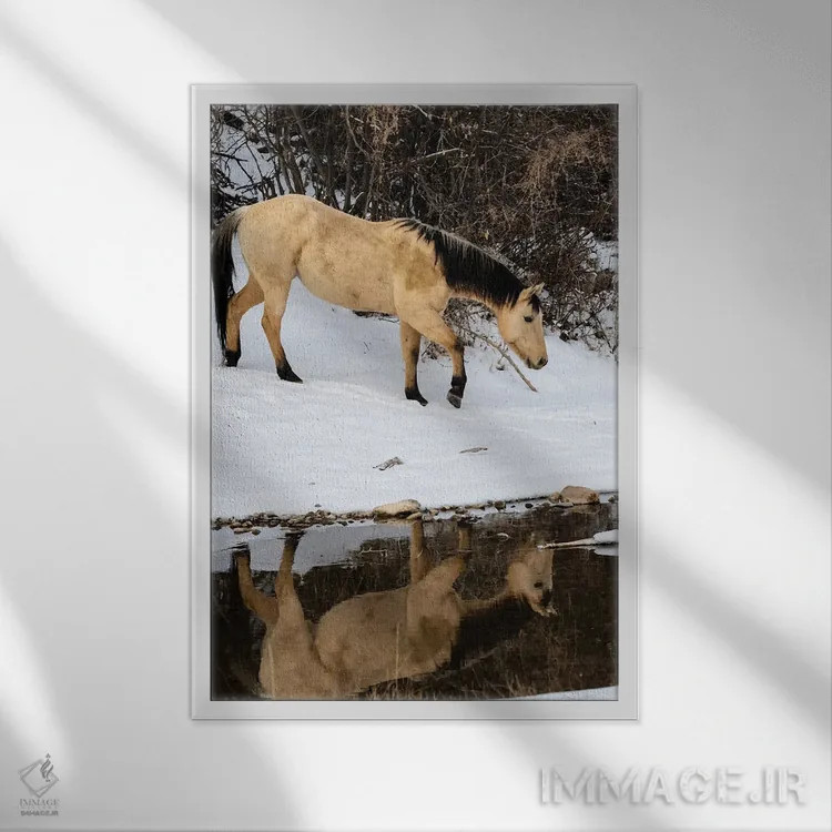تابلو دکوراتیو Shell, Wyoming Hideout Ranch Lone Horse In Reflection Shell… اثر دارل گالین - نمای قابدار سفید