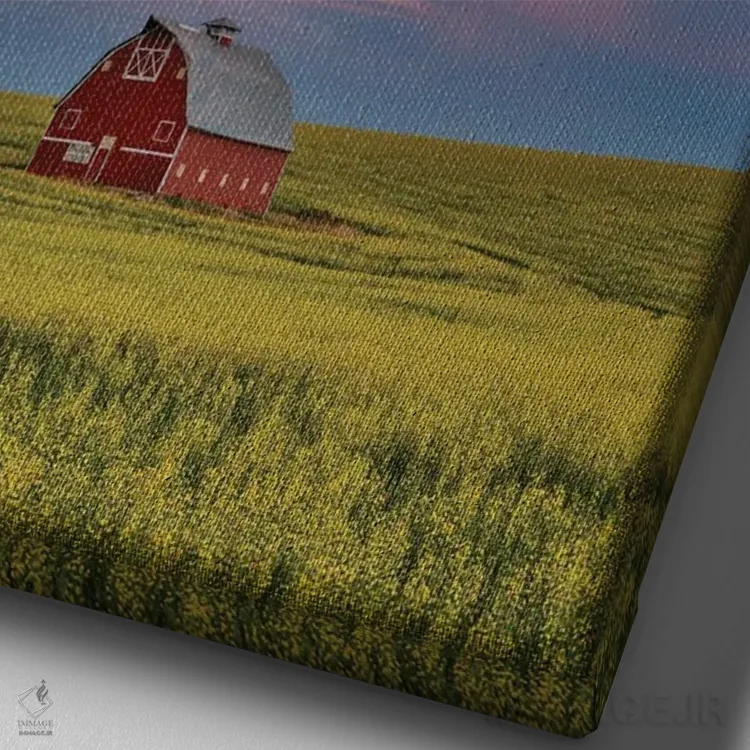 تابلو دکوراتیو Washington State, Palouse Springtime With Red Barn Surrounde… اثر دارل گالین - نمای نزدیک بافت بوم