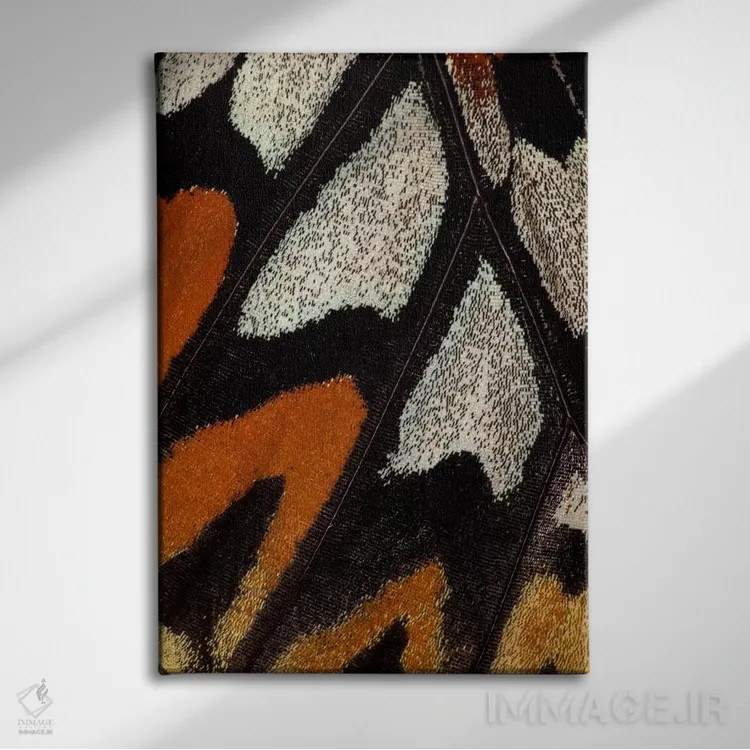 تابلو دکوراتیو عکاسی ماکرو از بال پروانه شماره دوازده اثر دارل گالین - نمای روبهرو روی دیوار