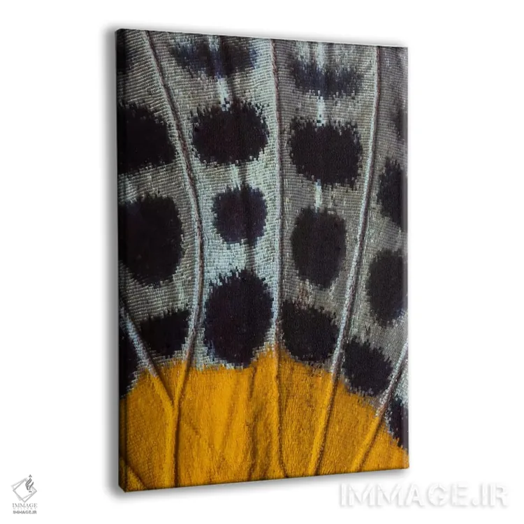 تابلو دکوراتیو عکاسی ماکرو از بال پروانه شماره هفده اثر دارل گالین - نمای پرسپکتیو محصول