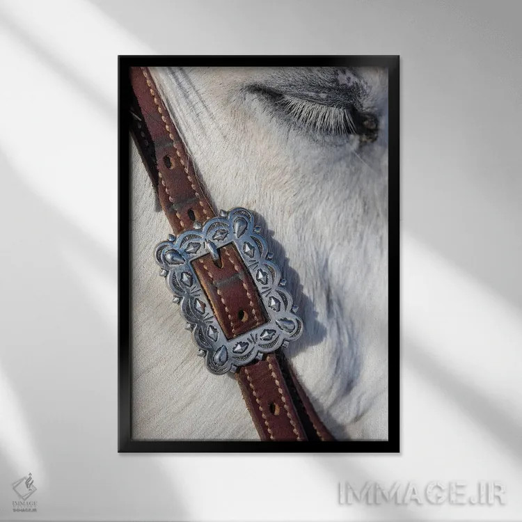 تابلو دکوراتیو Shell, Wyoming Hideout Ranch Tack On Horse,آمریکا، شل، وایوم… اثر دارل گالین - نمای قابدار مشکی