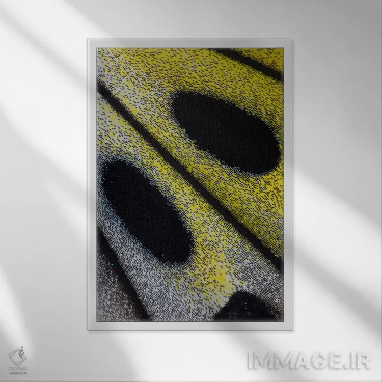 تابلو دکوراتیو عکاسی ماکرو از بال پروانه شماره ده اثر دارل گالین - نمای قابدار سفید