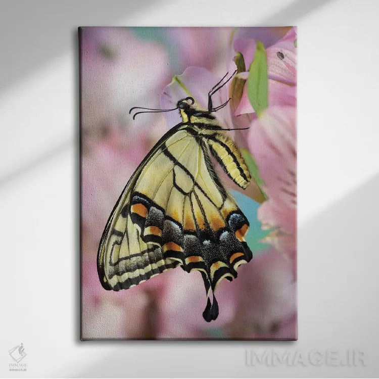 تابلو دکوراتیو Washington State, Sammamish Eastern Tiger Swallowtail Butter… اثر دارل گالین - نمای روبهرو روی دیوار