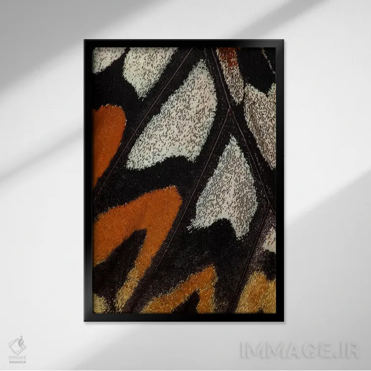 تابلو دکوراتیو عکاسی ماکرو از بال پروانه شماره دوازده اثر دارل گالین - نمای قابدار مشکی