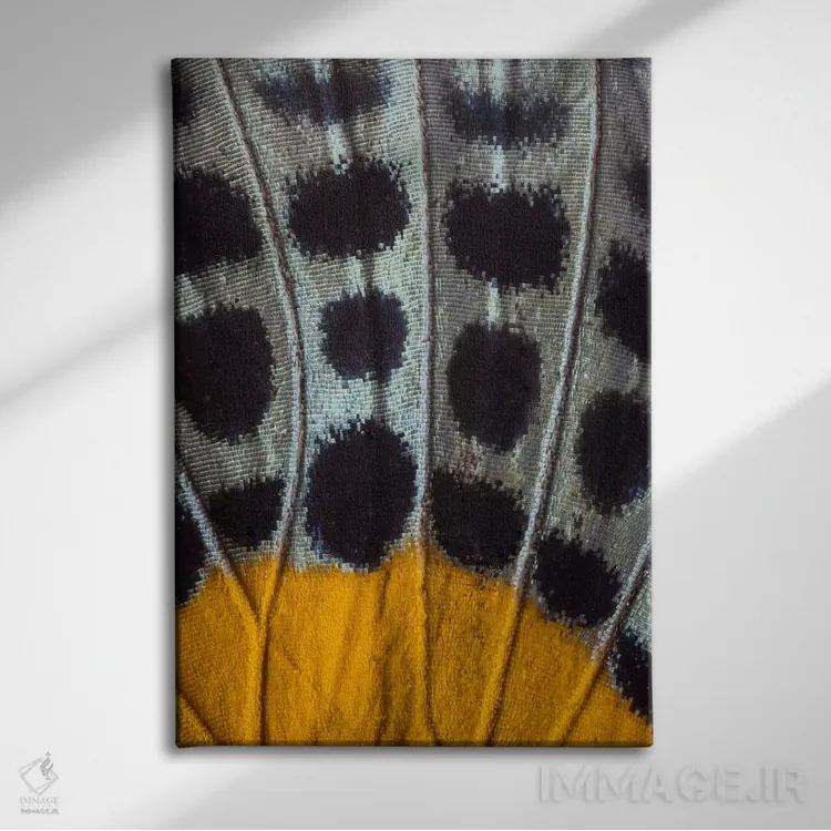 تابلو دکوراتیو عکاسی ماکرو از بال پروانه شماره هفده اثر دارل گالین - نمای روبهرو روی دیوار