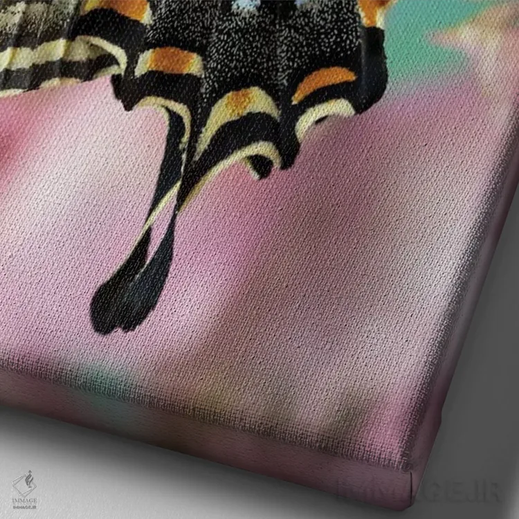 تابلو دکوراتیو Washington State, Sammamish Eastern Tiger Swallowtail Butter… اثر دارل گالین - نمای نزدیک بافت بوم