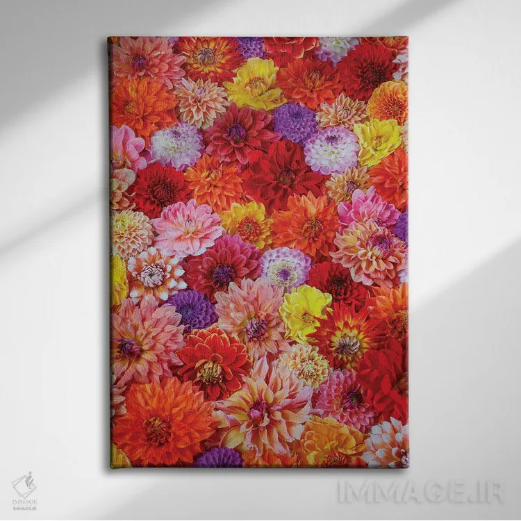 تابلو دکوراتیو Washington State, Sammamish. Dahlia Grouping Flower Pattern… اثر دارل گالین - نمای روبهرو روی دیوار