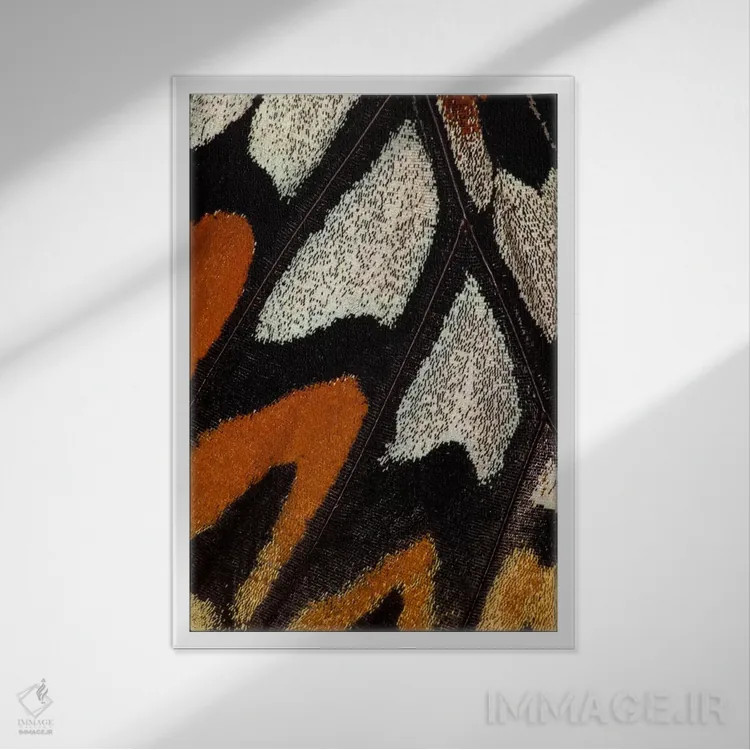 تابلو دکوراتیو عکاسی ماکرو از بال پروانه شماره دوازده اثر دارل گالین - نمای قابدار سفید