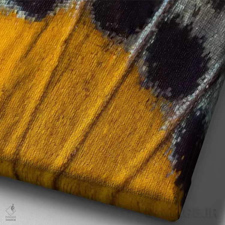 تابلو دکوراتیو عکاسی ماکرو از بال پروانه شماره هفده اثر دارل گالین - نمای نزدیک بافت بوم