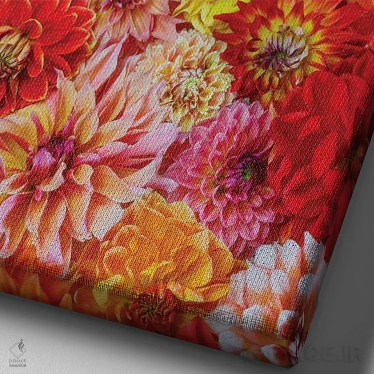 تابلو دکوراتیو Washington State, Sammamish. Dahlia Grouping Flower Pattern… اثر دارل گالین - نمای نزدیک بافت بوم