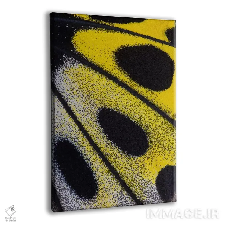 تابلو دکوراتیو عکاسی ماکرو از بال پروانه شماره بیست وهشت اثر دارل گالین - نمای پرسپکتیو محصول